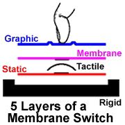 Membrane switch construction